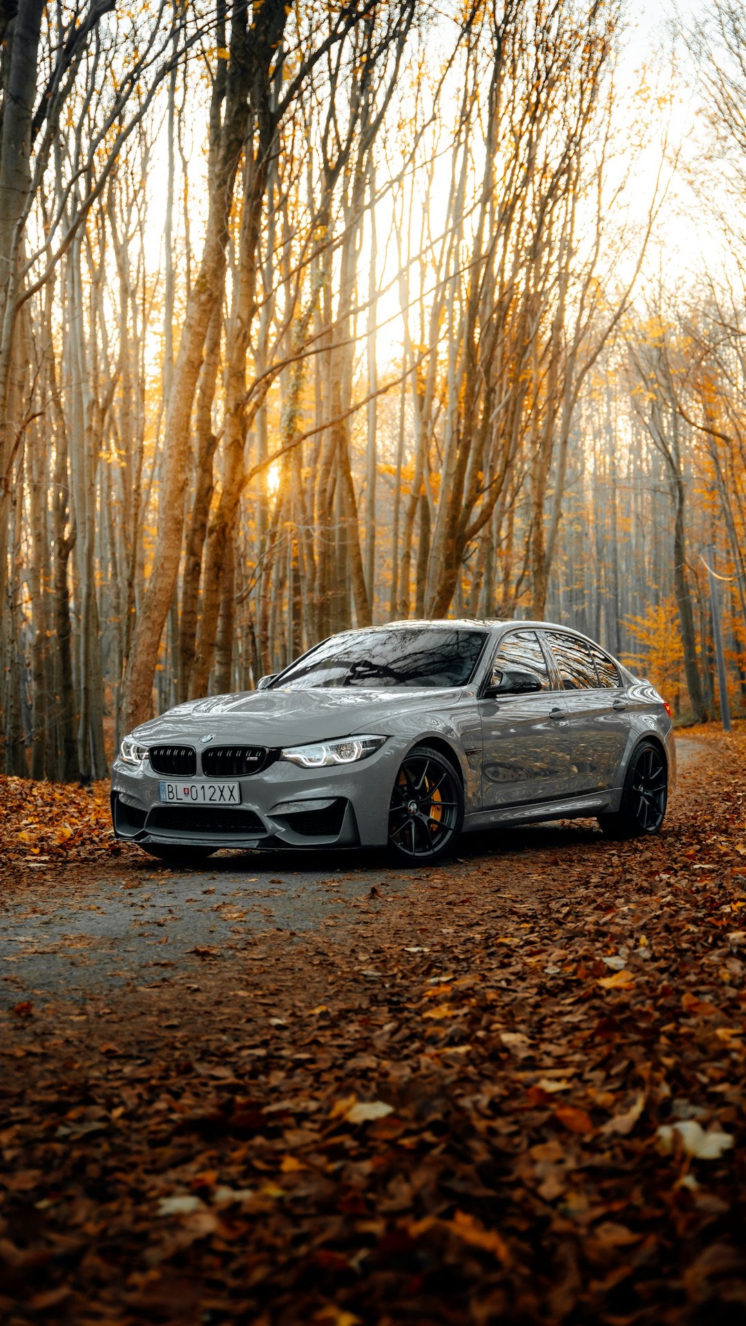 Black BMW M3 coupe parked at the edge of a forest, moody automotive photography